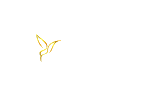 Argo evo evolution